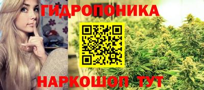 гашик Гусиноозёрск