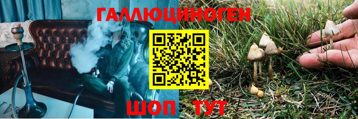 хочу   Вход с VPN  Трёхгорный  Галлюциногенные грибы Psilocybine cubensis 